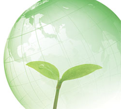 Eco feature logo