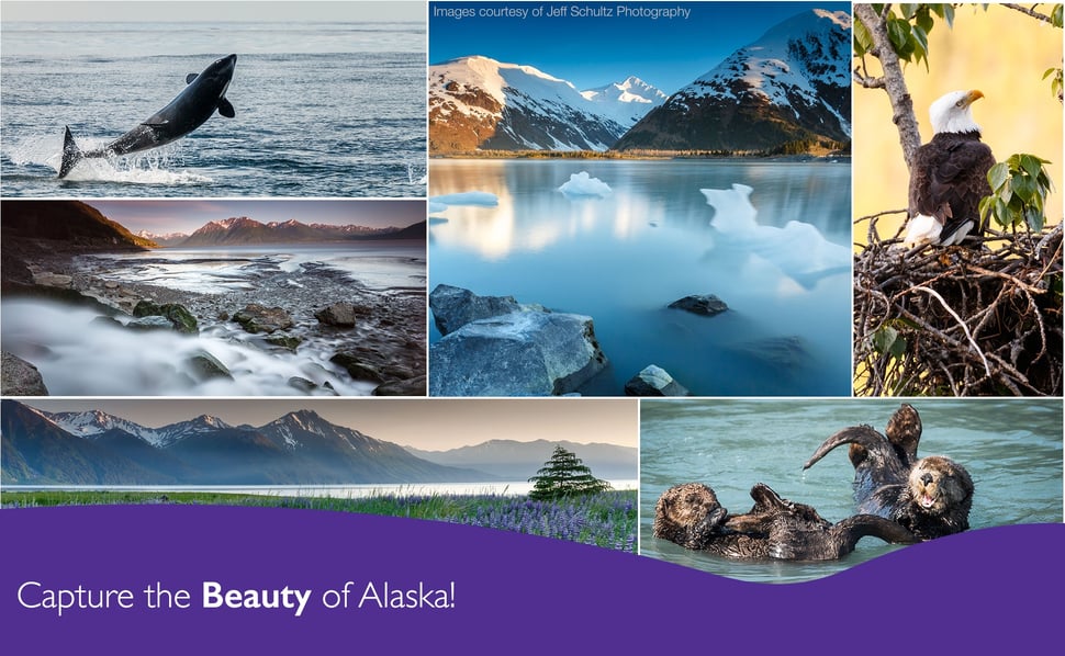 Alaska Sweepstakes
